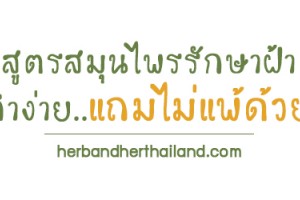 สูตรสมุนไพรรักษาฝ้าทำง่าย..แถมไม่แพ้ด้วย!